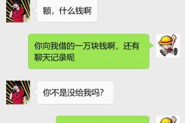 湘西湘西的要账公司在催收过程中的策略和技巧有哪些？